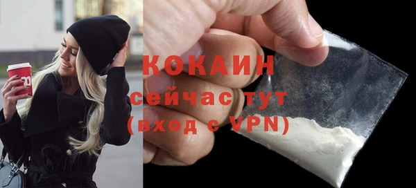 скорость Вяземский
