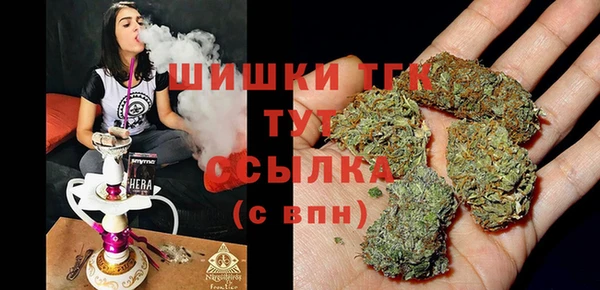 скорость Вяземский