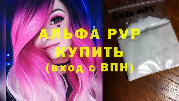 скорость Вяземский