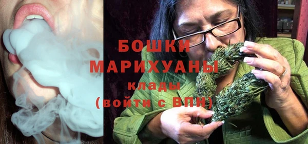 скорость Вяземский